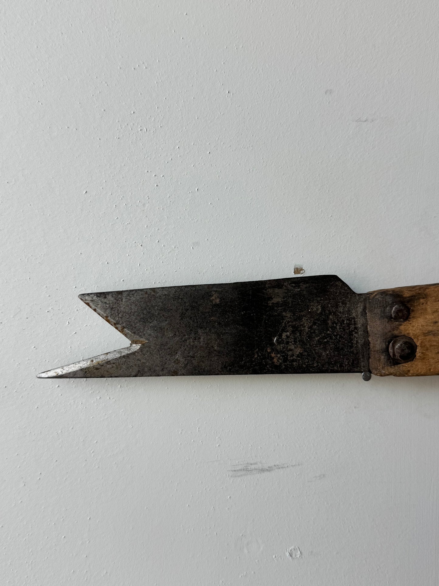 Meat Fork with Wooden Handle