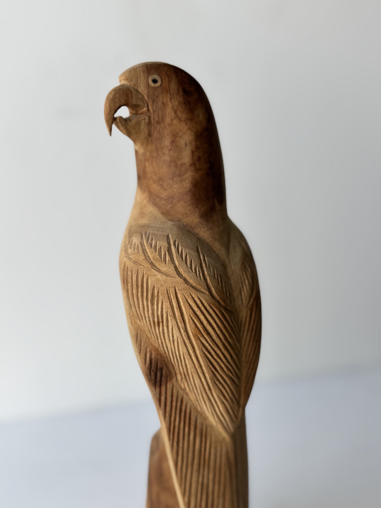 Finely Carved Parrot