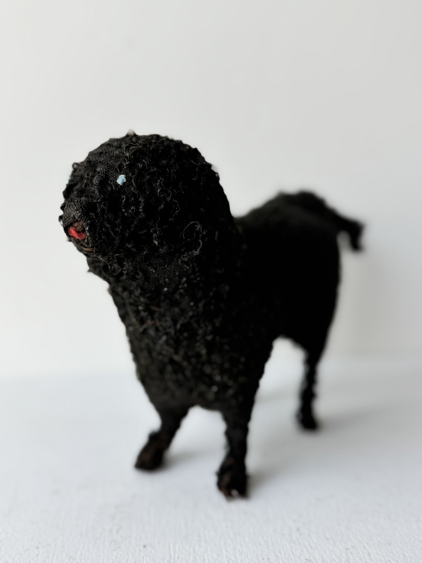 Victorian Wool Poodle