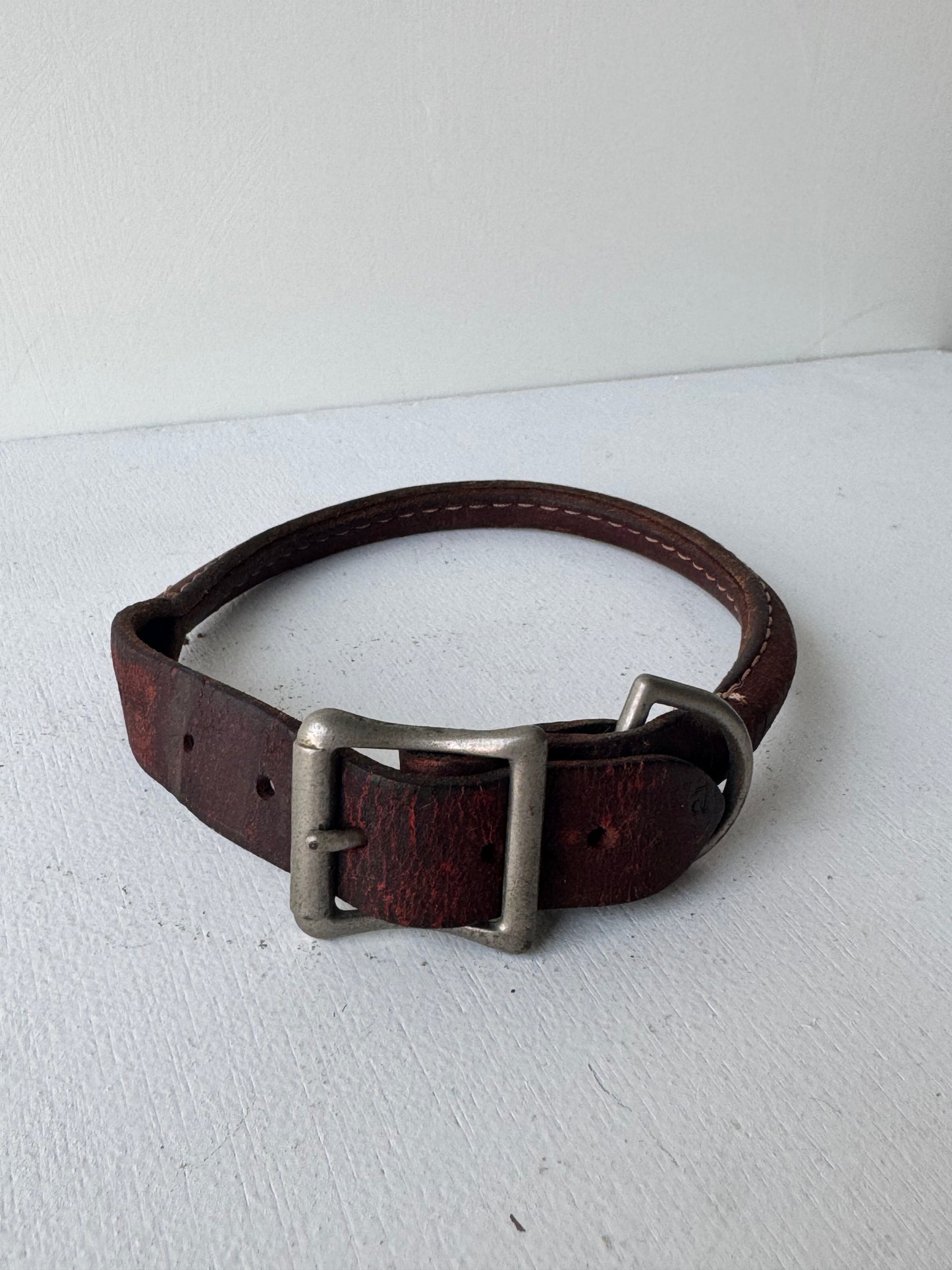 Leather Dog Collar