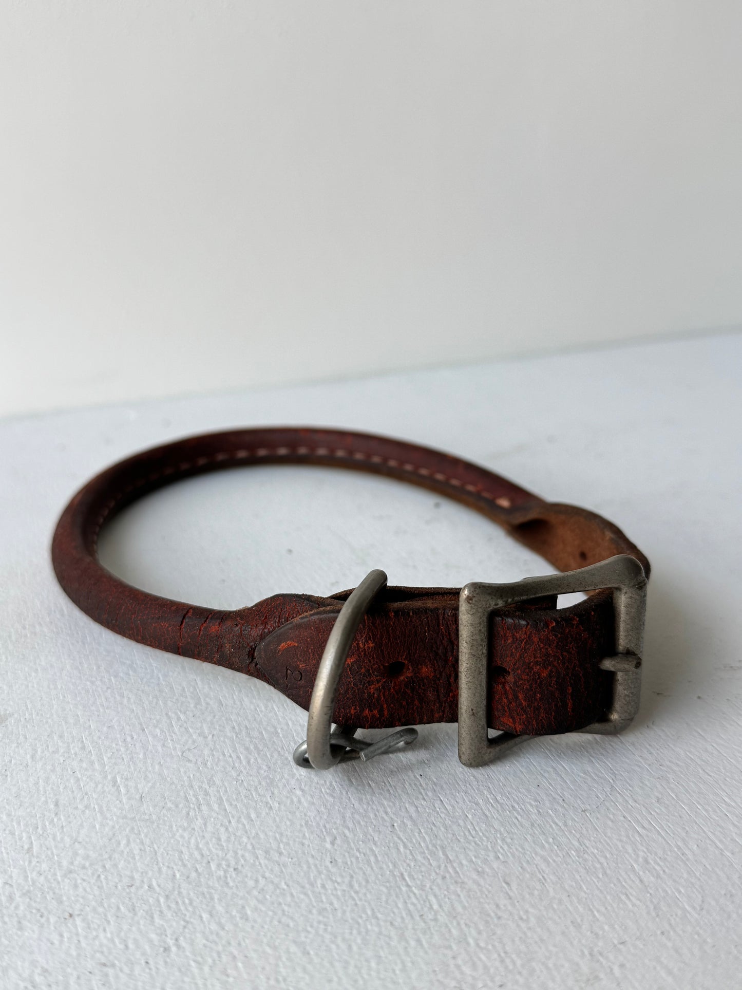 Leather Dog Collar