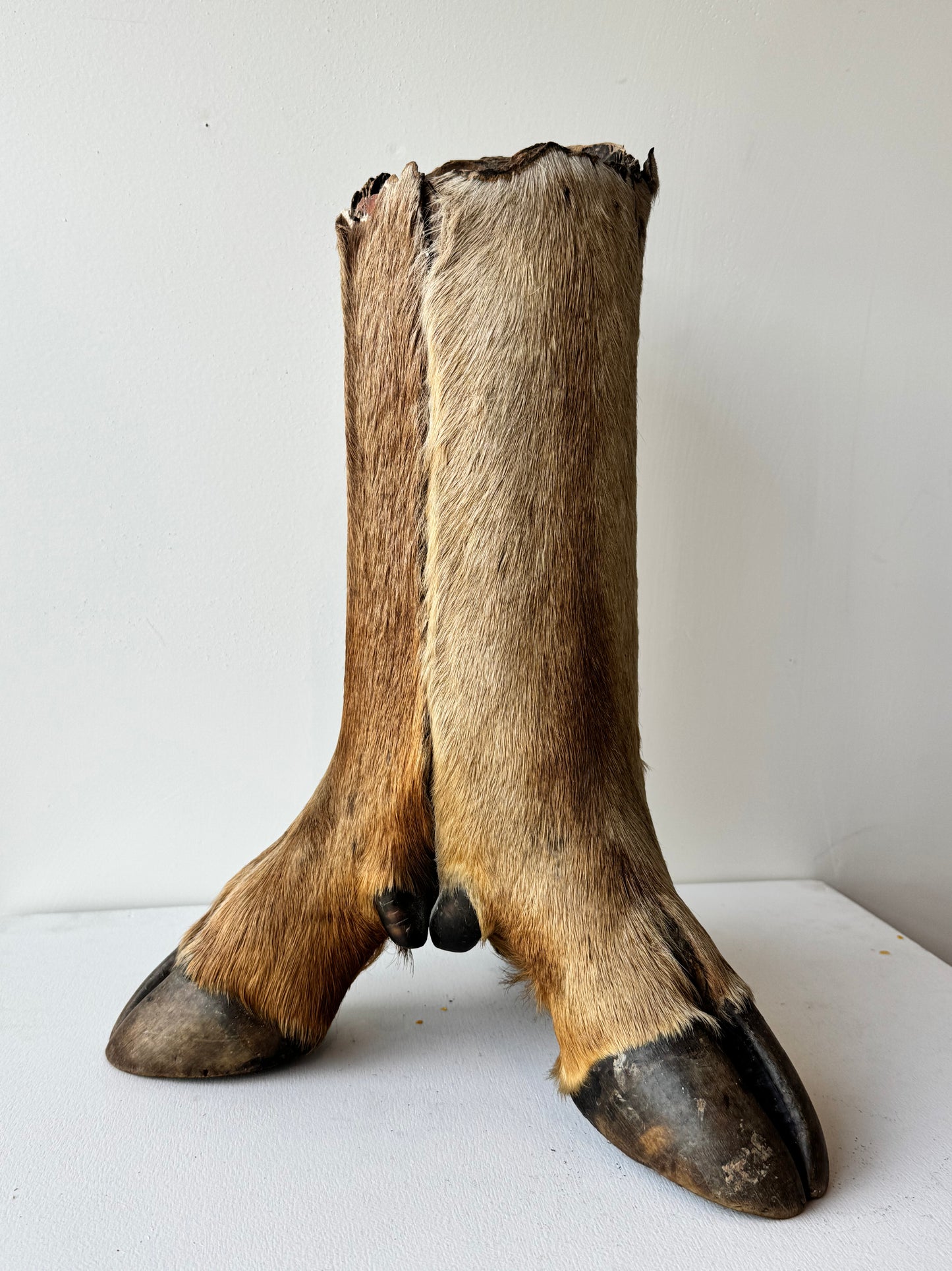 Hooved Candle Pedestal
