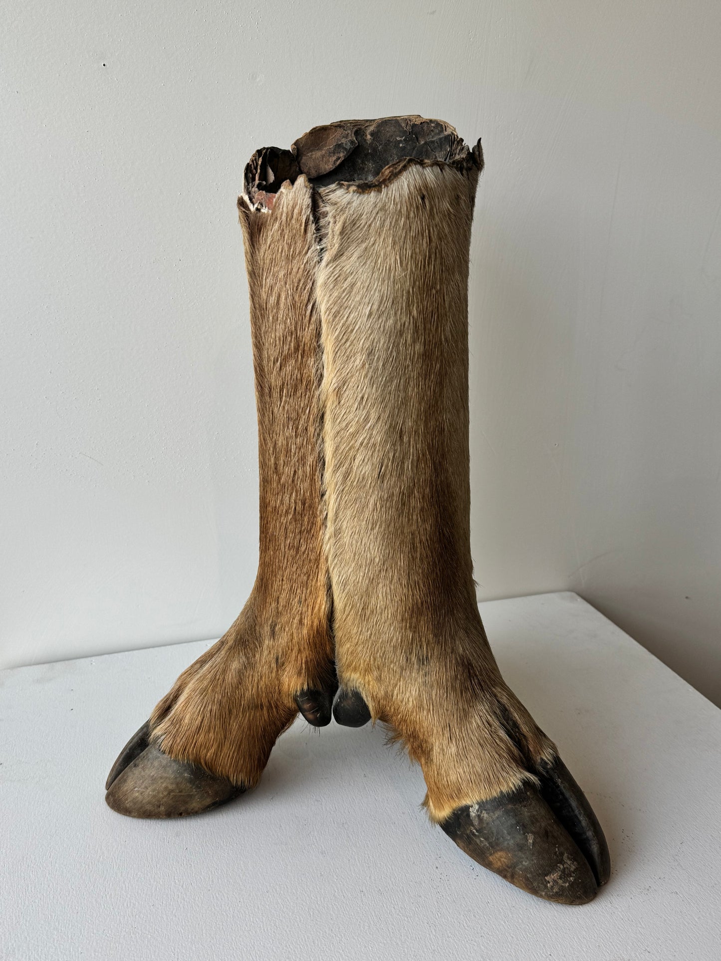 Hooved Candle Pedestal