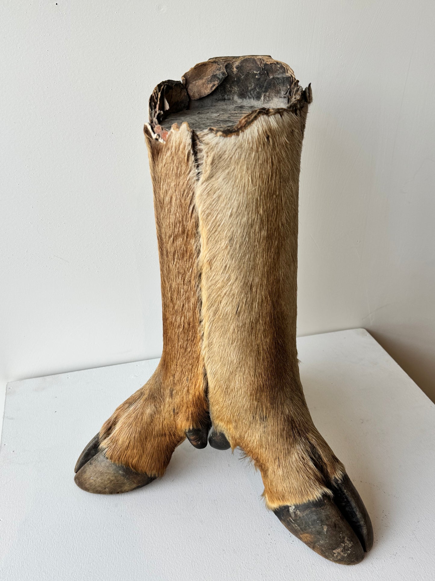 Hooved Candle Pedestal