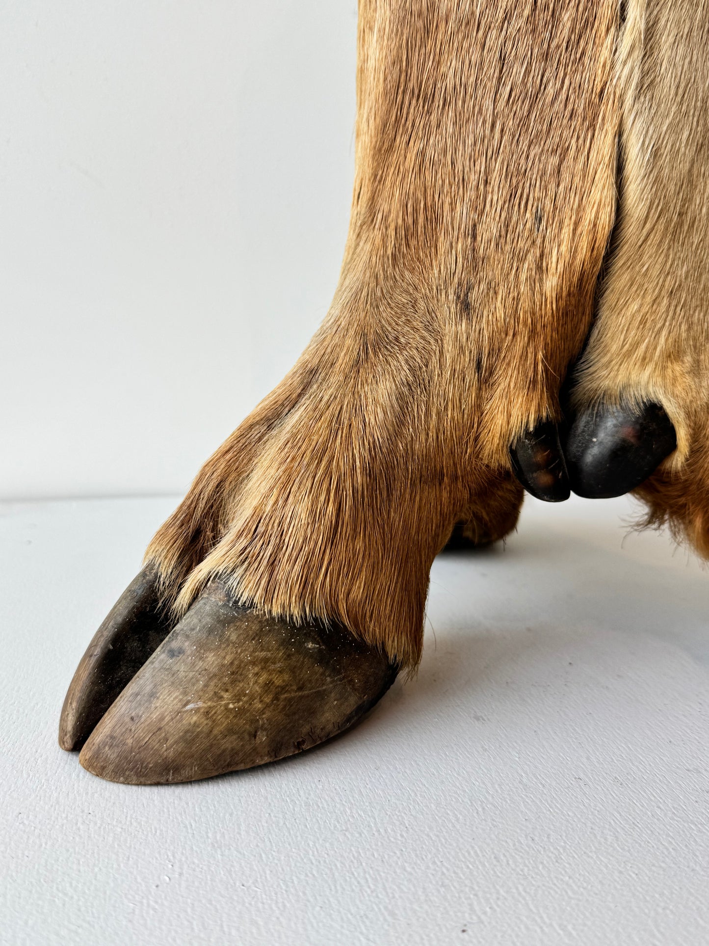 Hooved Candle Pedestal